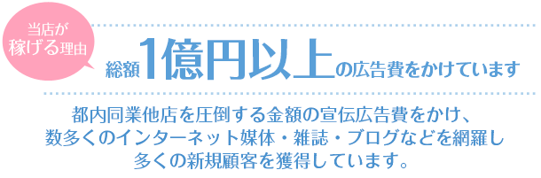 総額一億円以上の広告費投入